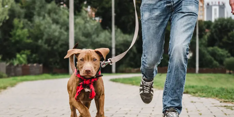 Can you shop off-leash at Marshalls