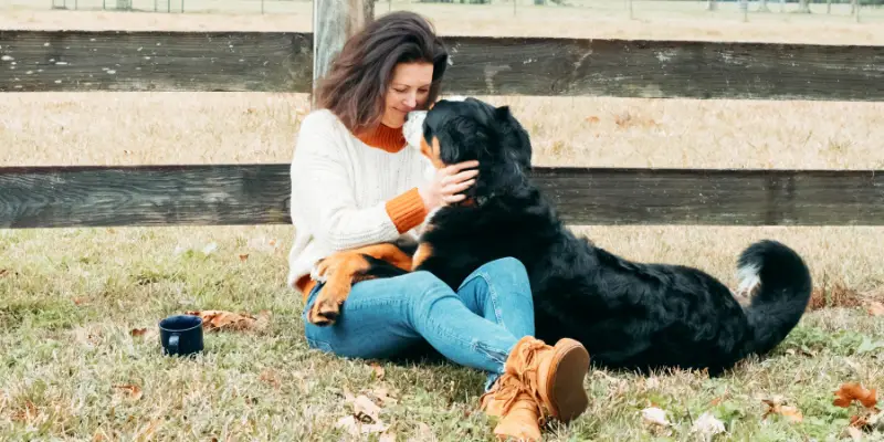 Emotional Support Animals
