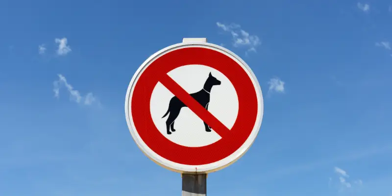 Marshalls Store Not Allow Dogs