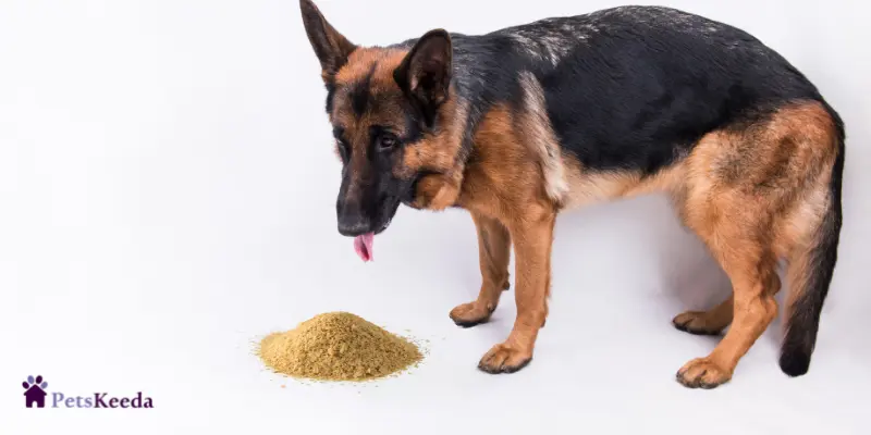 Can Dogs Eat Nutritional Yeast