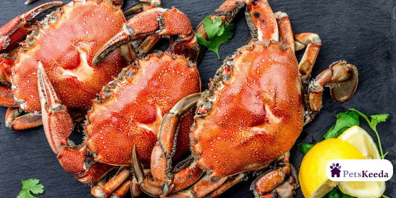 How to Feed Crabs to Your Dogs