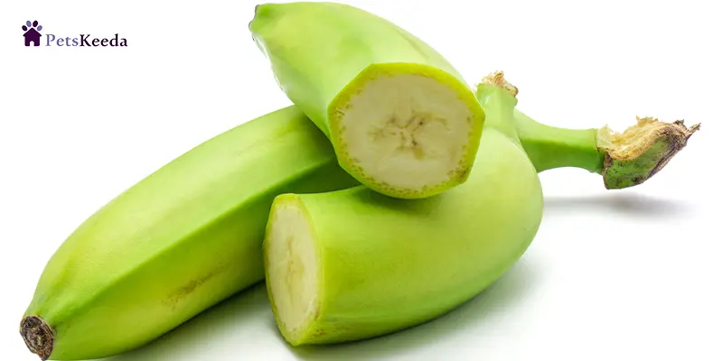 What Are Plantains