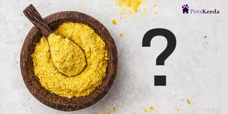 what is Yeast